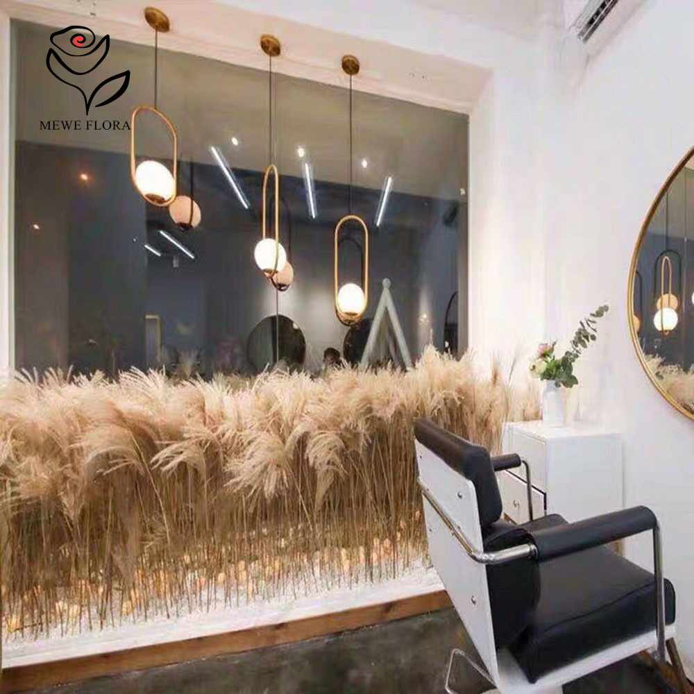 200PCS ธรรมชาติแห้ง Fluffy Ree - Interior Design Apartment บทวิจารณ์และราคา