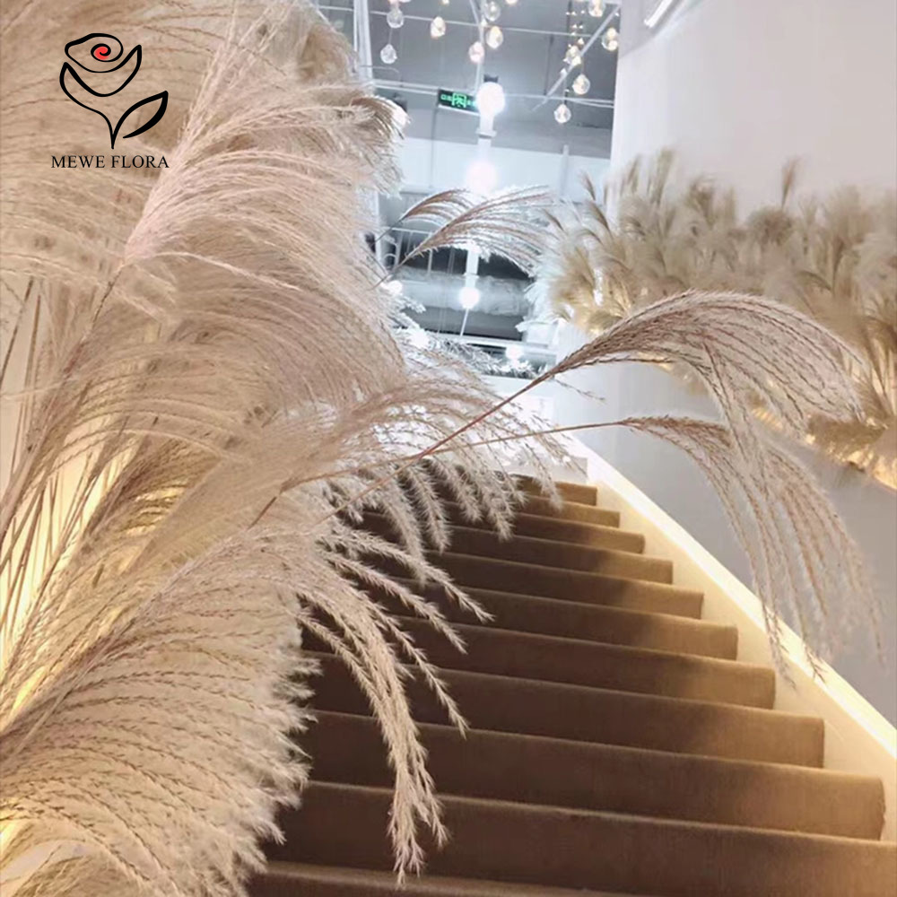 200PCS ธรรมชาติแห้ง Fluffy Ree - Interior Design Apartment บทวิจารณ์และราคา
