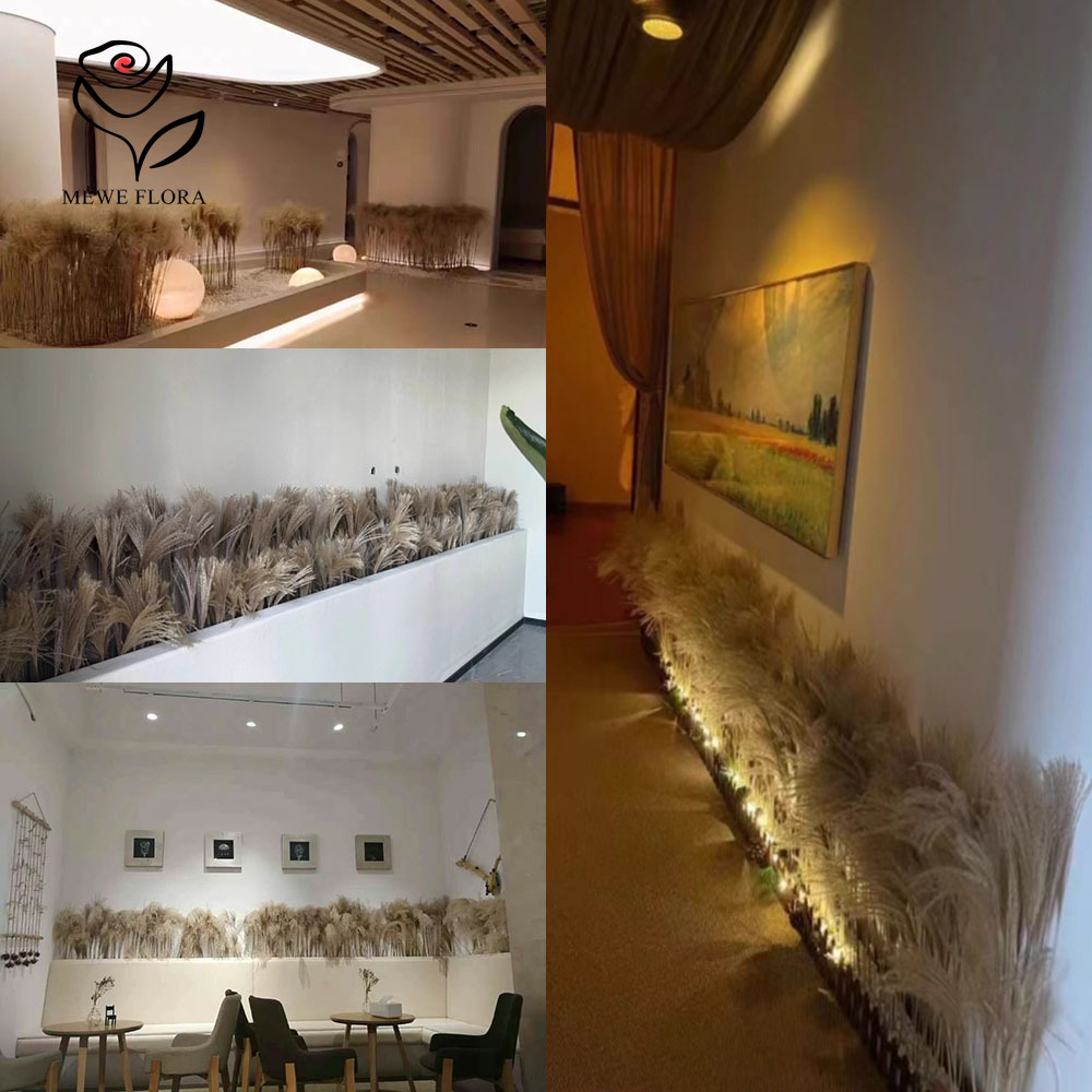 200PCS ธรรมชาติแห้ง Fluffy Ree - Interior Design Apartment บทวิจารณ์และราคา
