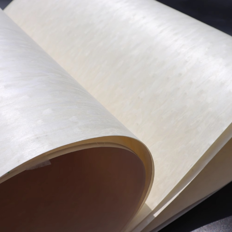 Tech ALPi สีขาว Cat's Eye ไม้แ - Interior Design White And Wood บทวิจารณ์และราคา